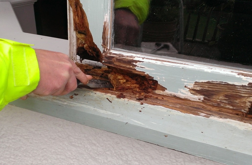 Window Repair Service Near Me Dallas Tx