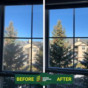 United Windows Pro Results of Work | Project Photos